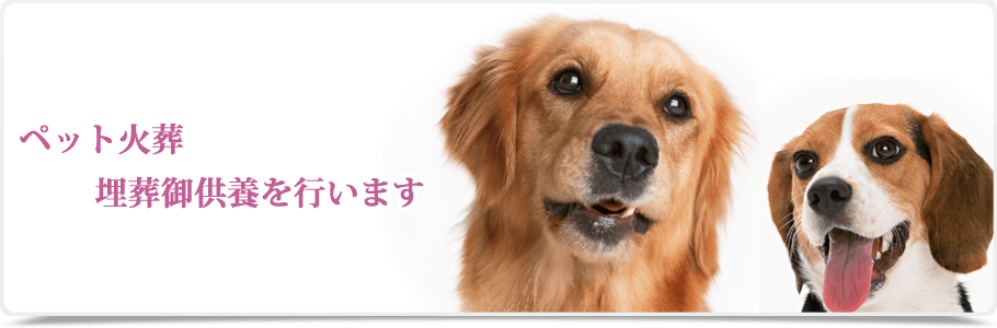 シンプル葬(直葬)写真