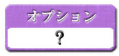 オプション料金